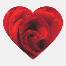 紅薔薇の花 ハートシール