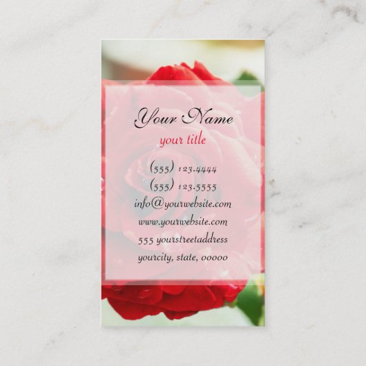 紅薔薇の花 名刺 (裏面)