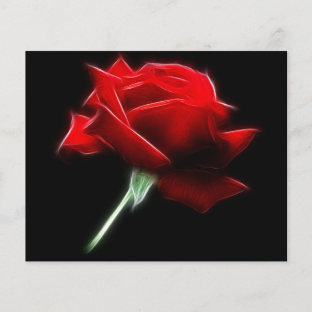紅薔薇 (正面)