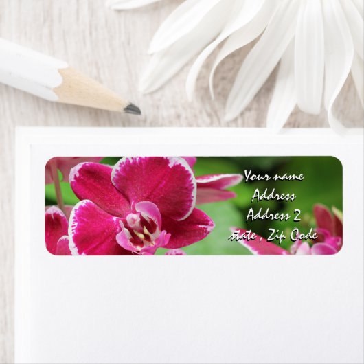 紅蘭 ラベル (インサイチュ)