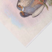 紅足白羽ケストル、デコページ 薄葉紙 (詳細)