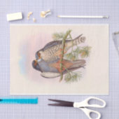 紅足白羽ケストル、デコページ 薄葉紙 (クラフト)