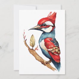 紅青のキツツキ シーズンカード