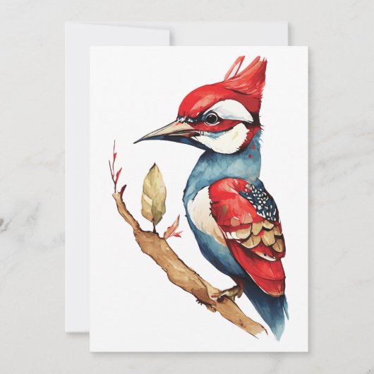 紅青のキツツキ シーズンカード (正面)