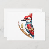 紅青のキツツキ ポストカード (正面/裏面)