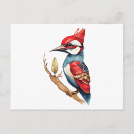 紅青のキツツキ ポストカード