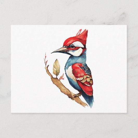 紅青のキツツキ ポストカード (正面)