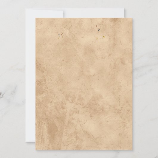 紅青の海賊クール誕生会の招待状 招待状 (裏面)