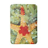 紅黄海の星 バスマット (正面縦)