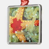 紅黄海の星 メタルオーナメント (左)