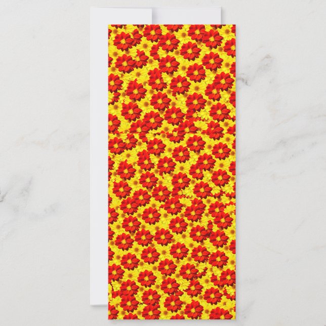 紅黄色の紅花 (正面)