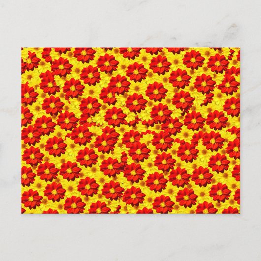 紅黄色の紅花 シーズンポストカード (正面)