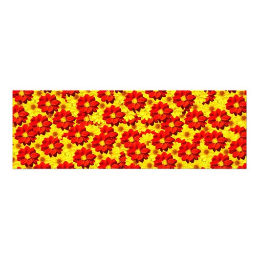 紅黄色の紅花 フォトプリント            (正面)