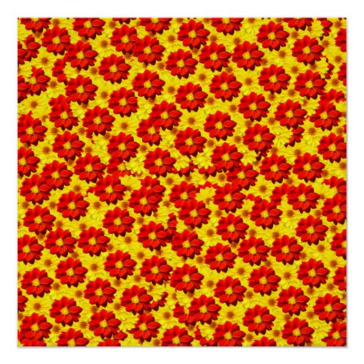 紅黄色の紅花 ポスター (正面)