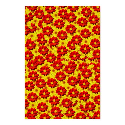 紅黄色の紅花 ポスター (正面)