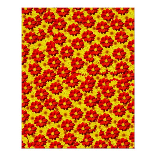 紅黄色の紅花 ポスター (正面)