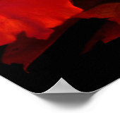 紅黄色バラIII ポスター (角)