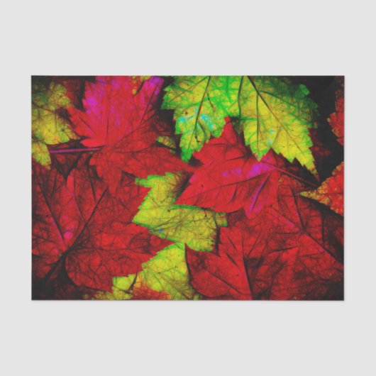 紅黄黒の秋のイロハカエデの葉のアート 薄葉紙 (正面)