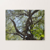 紆余曲折の柳 ジグソーパズル (横)