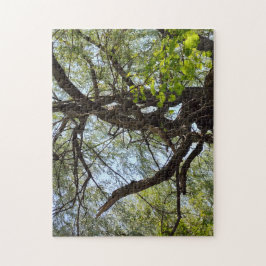 紆余曲折の柳 ジグソーパズル