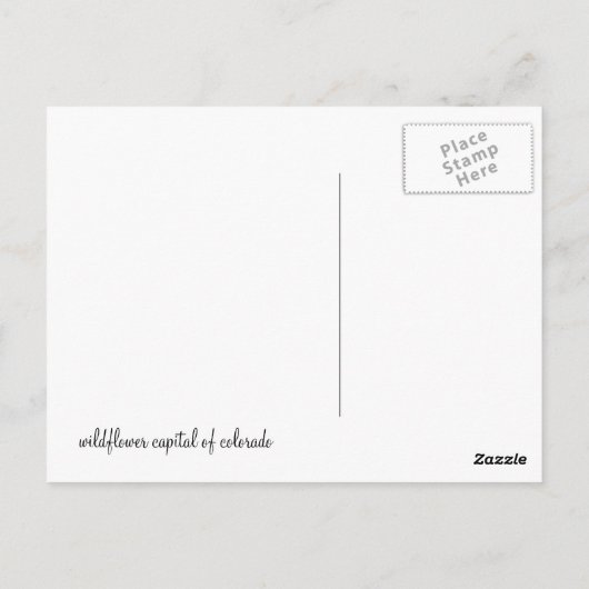 紋付きブットのワイルドフラワー ポストカード (裏面)