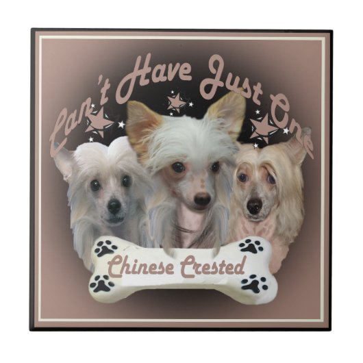 紋付き中国ののタイルは1枚のみ タイル (正面)