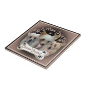 紋付き中国ののタイルは1枚のみ タイル (側面)