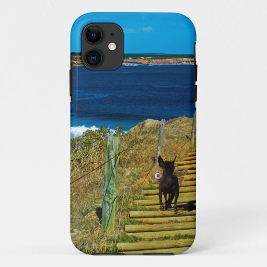 紋付き中国の子犬はテディiPhone 5ケースを盗む Case-Mate iPhoneケース (裏面)