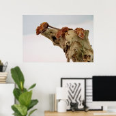 紋付のゲッコス3個 ポスター (ホームオフィス)