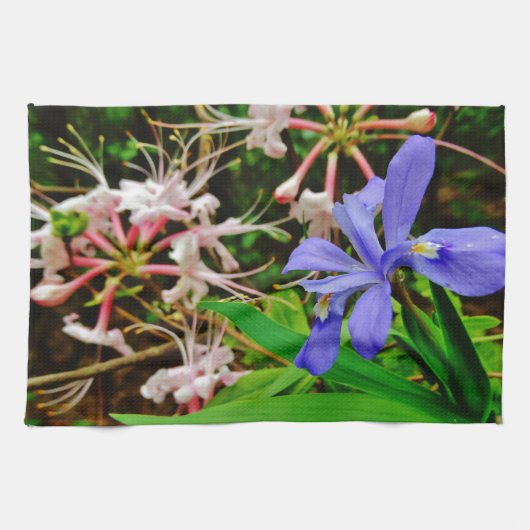 紋付矮小虹彩 キッチンタオル (横)