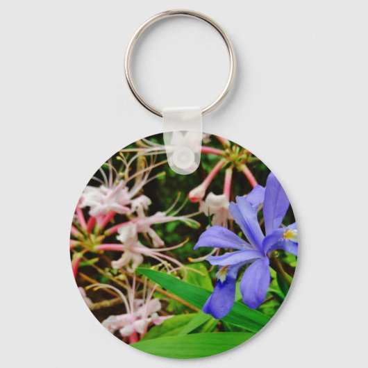 紋付矮小虹彩 キーホルダー (正面)