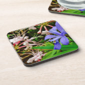 紋付矮小虹彩 コースター (左側)