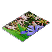 紋付矮小虹彩 ノートブック (左側)