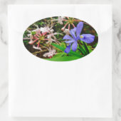 紋付矮小虹彩 楕円形シール (バッグ)