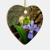 紋付矮性虹彩青紫白花 セラミックオーナメント (右)