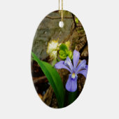 紋付矮性虹彩青紫白花 セラミックオーナメント (右)