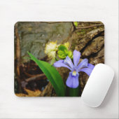 紋付矮性虹彩青紫白花 マウスパッド (マウス)