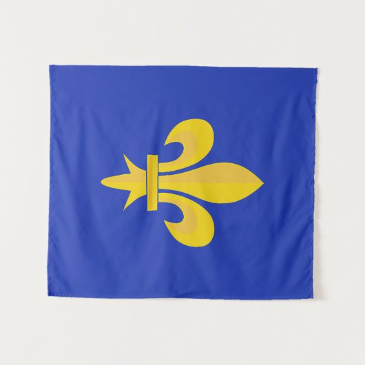 (紋章の)フラ・ダ・リオン王室のブルータペストリー タペストリー (正面(横))