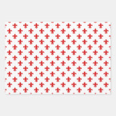 (紋章の)フラ・ダ・リDIYパターンと背景色 ラッピングペーパーシート (正面3)