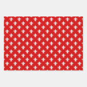 (紋章の)フラ・ダ・リDIYパターンと背景色 ラッピングペーパーシート (正面)