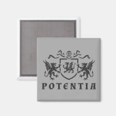 紋章ドラゴンブラゾン マグネット (正面/裏面)