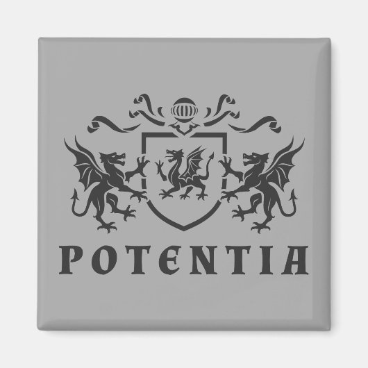 紋章ドラゴンブラゾン マグネット (正面)