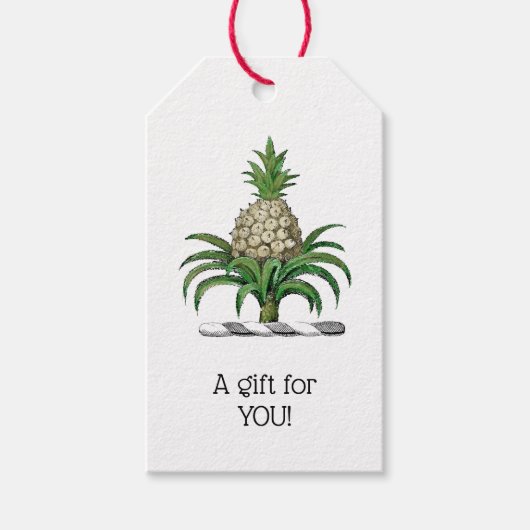 紋章名門私立校風のの紋章の紋章 ギフトタグ (正面)