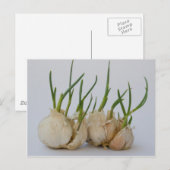 紋章 ポストカード (正面/裏面)