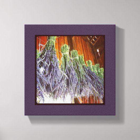 納屋でラベンダーを乾燥させる キャンバスプリント (正面)