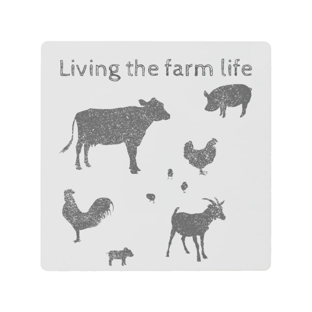 納屋で生まれた メタルプリント (正面)