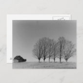 納屋と木のはがき ポストカード (正面/裏面)