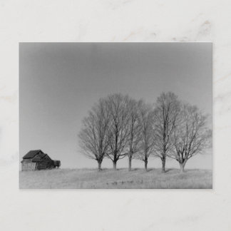 納屋と木のはがき ポストカード