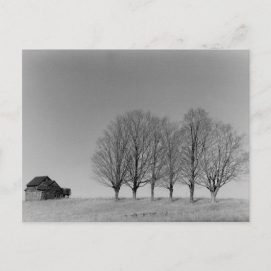 納屋と木のはがき ポストカード (正面)