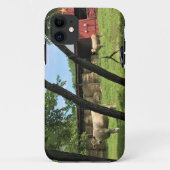 納屋と牛、農村部ノースカロライナのキャンバス印刷モー Case-Mate iPhoneケース (裏面)